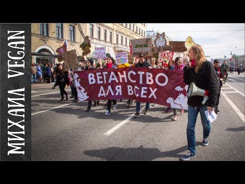 ВЕГАН-АБОЛИЦИОНИСТ | ДЕНИС ШАМАНОВ | ЗАЩИТА ПРАВ ЖИВОТНЫХ
