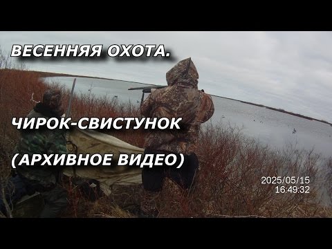 весенняя охота. Чирок-свистунок (архивное видео)