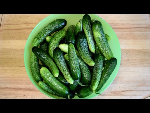 Вот как нужно готовить ОГУРЦЫ! РЕЦЕПТ, после которого вы точно их полюбите!