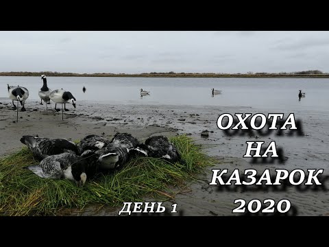 ВОТ ЭТО ОХОТА!!! ВОТ ЭТО НАЛЁТЫ!!! Осенняя охота с ночёвкой 2020 охота на казарок ДЕНЬ 1