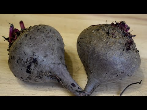 Все в ШОКЕ от такой ВКУСНОТЫ! Вот как я СВЕКЛУ готовлю всё ЛЕТО! Новый рецепт на сковороде!