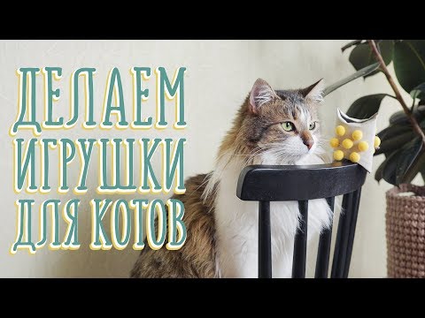 Делаем игрушки для котов и наблюдаем реакцию [Идеи для жизни]