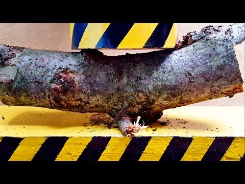 ДЕРЕВО ПОД ГИДРАВЛИЧЕСКИМ ПРЕССОМ