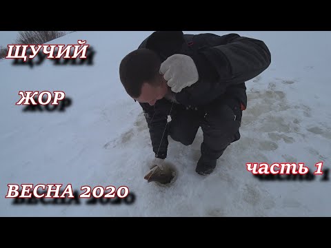 ДИЧАЙШИЙ ЖОР ВЕСЕННЕЙ ЩУКИ!!! 3 мая на льду!!! часть 1