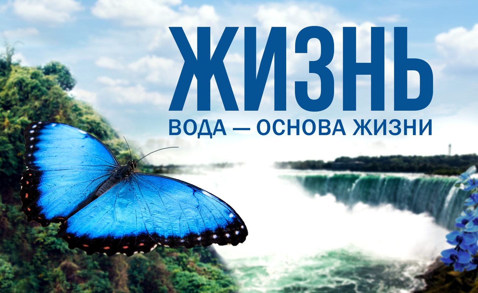 Жизнь: Вода — основа жизни