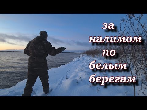 за налимом по белым берегам