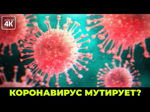 Коронавирус - 1.000.000 зараженных уже к середине марта? Правы ли ученые в предсказании?