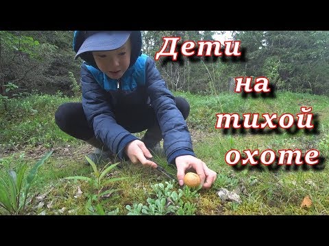 Костя и Денис на тихой охоте