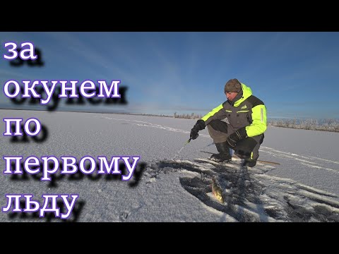 лёд трещит, но я за окунями!!! первый лёд 20/21 на крайнем севере