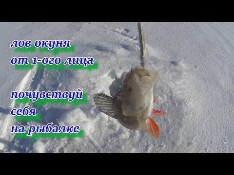 ЛОВ ОКУНЯ ОТ 1 ОГО ЛИЦА. ПОЧУВСТВУЙ СЕБЯ НА РЫБАЛКЕ!!!