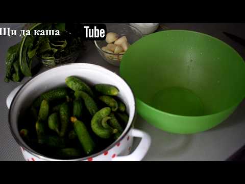 Малосольные огурцы, самый быстрый рецепт. Cucumber Salad Fast Recipe. Малосольные огурцы в пакете