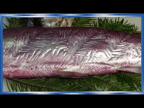 Малосольный голец на пихтовых ветках с брусникой,рецепты из рыбы от fisherman dv 27rus