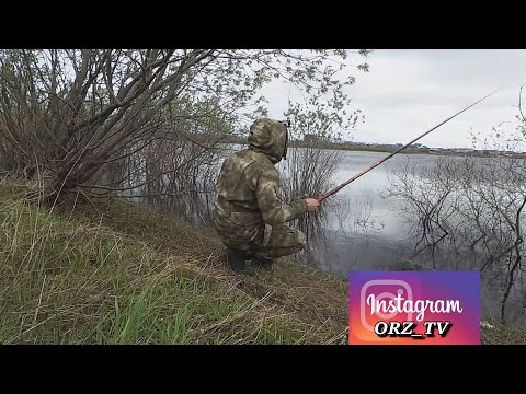 моё ПРОСВЕТЛЕНИЕ. Только УДОЧКА в руки. СЕТИ в прошлом.