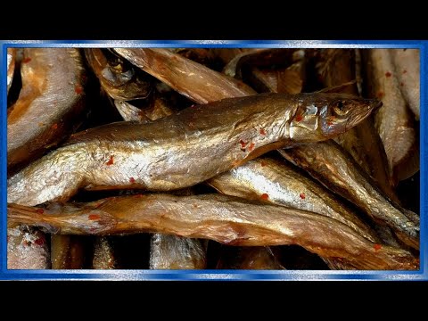 Мойва вяленая, специального посола, по Китайскому рецепту, рецепты из рыбы от fisherman dv 27rus