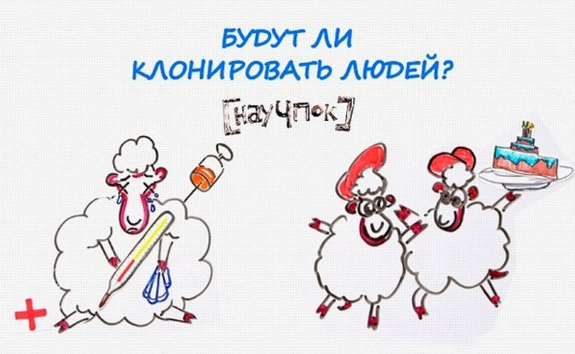 Научпок. Выпуск 141: Будут ли клонировать людей?