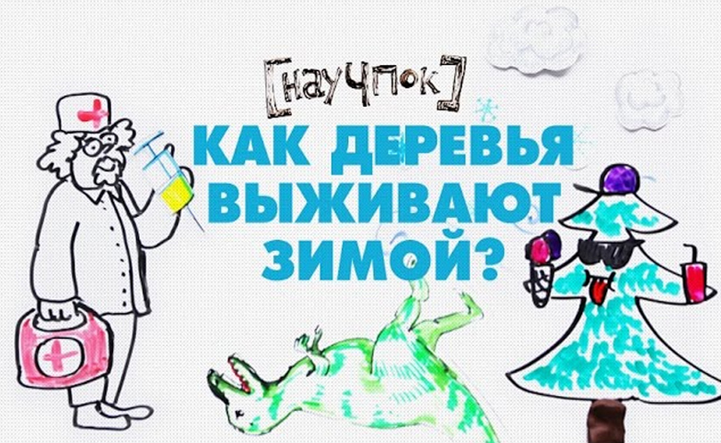 Научпок. Выпуск 29: Как деревья выживают зимой?
