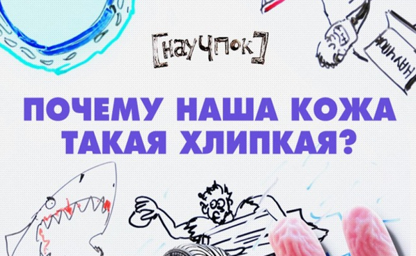 Научпок. Выпуск 33: Почему наша кожа такая хлипкая?