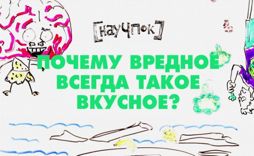 Научпок. Выпуск 36: Почему вредное всегда такое вкусное?