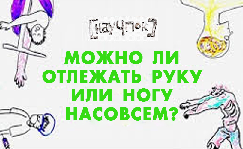 Научпок. Выпуск 41: Можно ли отлежать руку или ногу насовсем?