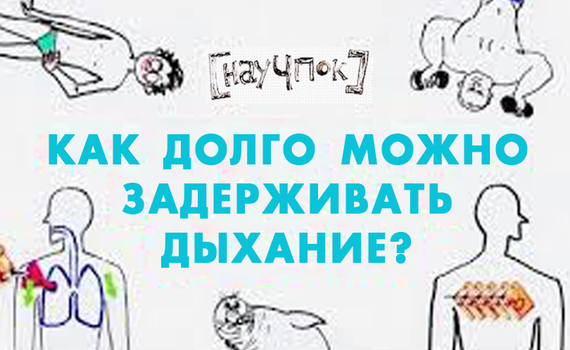 Научпок. Выпуск 47: Как долго можно задерживать дыхание?