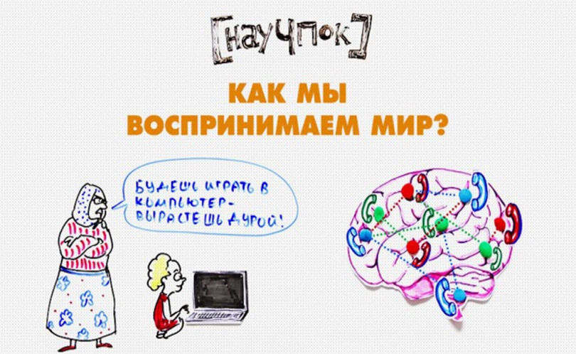 Научпок. Выпуск 90: Как мы воспринимаем мир?