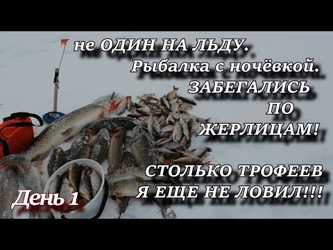 не ОДИН НА ЛЬДУ Рыбалка с ночёвкой ЗАБЕГАЛИСЬ ПО ЖЕРЛИЦАМ СТОЛЬКО ТРОФЕЕВ Я ЕЩЕ НЕ ЛОВИЛ!!! День 1