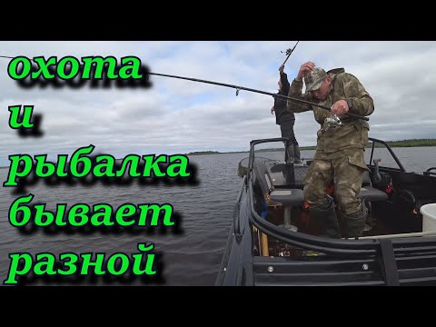 нелепые и смешные моменты на охоте и рыбалке. ПРИКОЛЫ НА РЫБАЛКЕ. всё что остаётся за кадром!