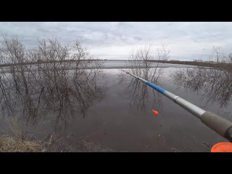 Неудачная разведка... Рыбалка на поплавок по открытой воде 2021