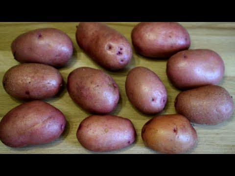 НОВИНКА! ВСЕ В ШОКЕ как я готовлю этот РЕЦЕПТ! Так КАРТОШКУ вы ещё не готовили