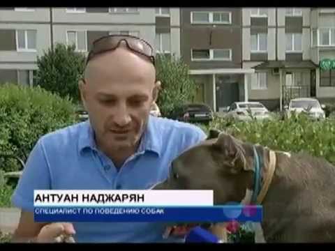 Новости Тольятти "СПЕКТР" (про фильм "Костя")