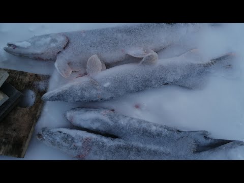 ОДИН НА ЛЬДУ онлайн 2