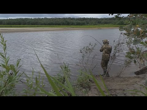 ОКУНЬ СОШЁЛ С УМА!!! ТРОФЕЙНЫЙ ОКУНЬ АТАКУЕТ
