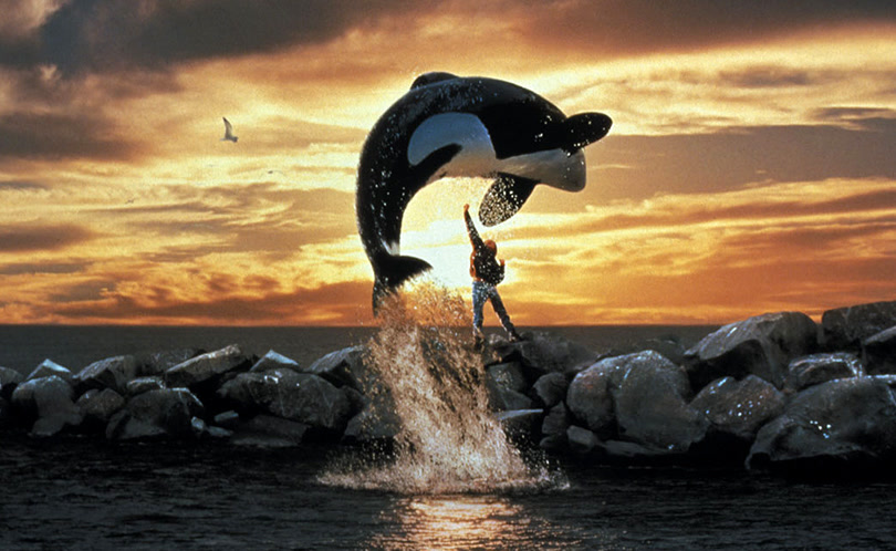 who played jesse in free willy