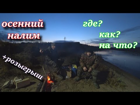 осенний налим. где? как? на что? розыгрыш. выезд 2
