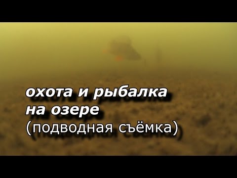 охота и рыбалка на тундровом озере