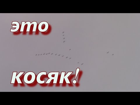 ОХОТНИКИ И РЫБОЛОВЫ ЗАПОЛЯРЬЯ. ЭТО КОСЯК!!!