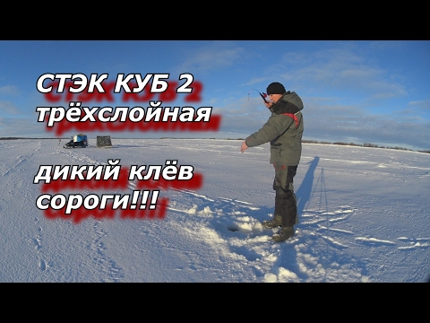 ПАЛАТКА СТЭК КУБ 2 Трёхслойная дикий клёв сороги