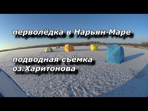 перволёдка в Нарьян Маре подводная съёмка оз Харитонова