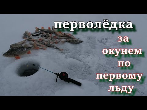 перволёдка За окунем по первому льду зимняя рыбалка