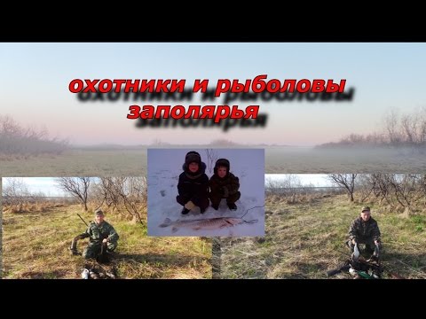 промо ролик