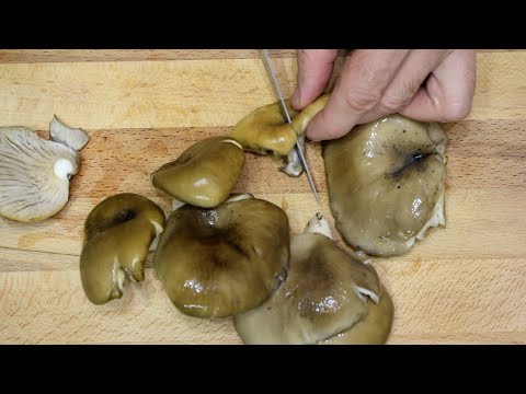 "ПЯТИМИНУТКА" ИДЕАЛЬНАЯ ЗАКУСКА НА ВСЕ СЛУЧАИ ЖИЗНИ! Бабушкин РЕЦЕПТ!