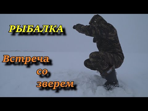 рыбалка на льду ВСТРЕЧАС СО ЗВЕРЕМ