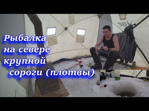 Рыбалка на севере крупной сороги плотвы