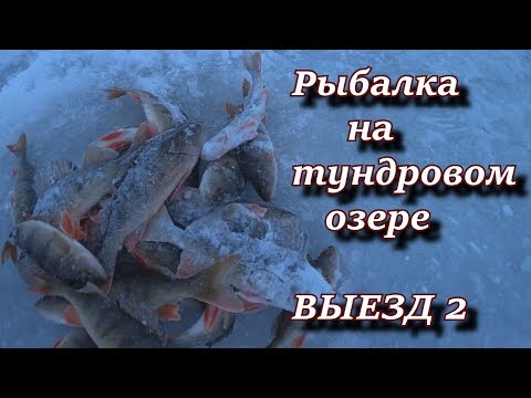 рыбалка на тундровом озере. ВЫЕЗД 2