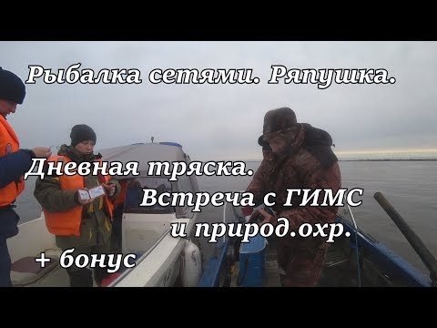 рыбалка сетями. Ряпушка. Дневная тряска. Встреча с ГИМС и природ.охр.   бонус