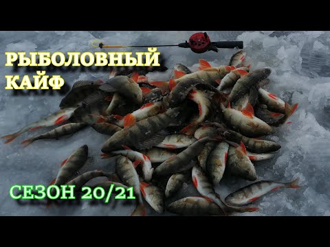 РЫБОЛОВНЫЙ РЕЛАКС ВАМ ОБЕСПЕЧЕН!!! окунь не давал скучать! РЫБАЛКА УДАЛАСЬ!!!
