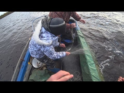 с сыном на промысловой рыбалке сетями