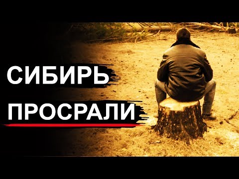 Сибирь и Тайга уходят с молотка