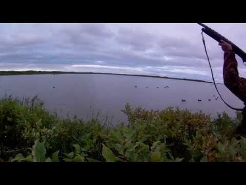 Сминаемые чучела уток NORTH WAY проверка боем (осенняя охота 2014)