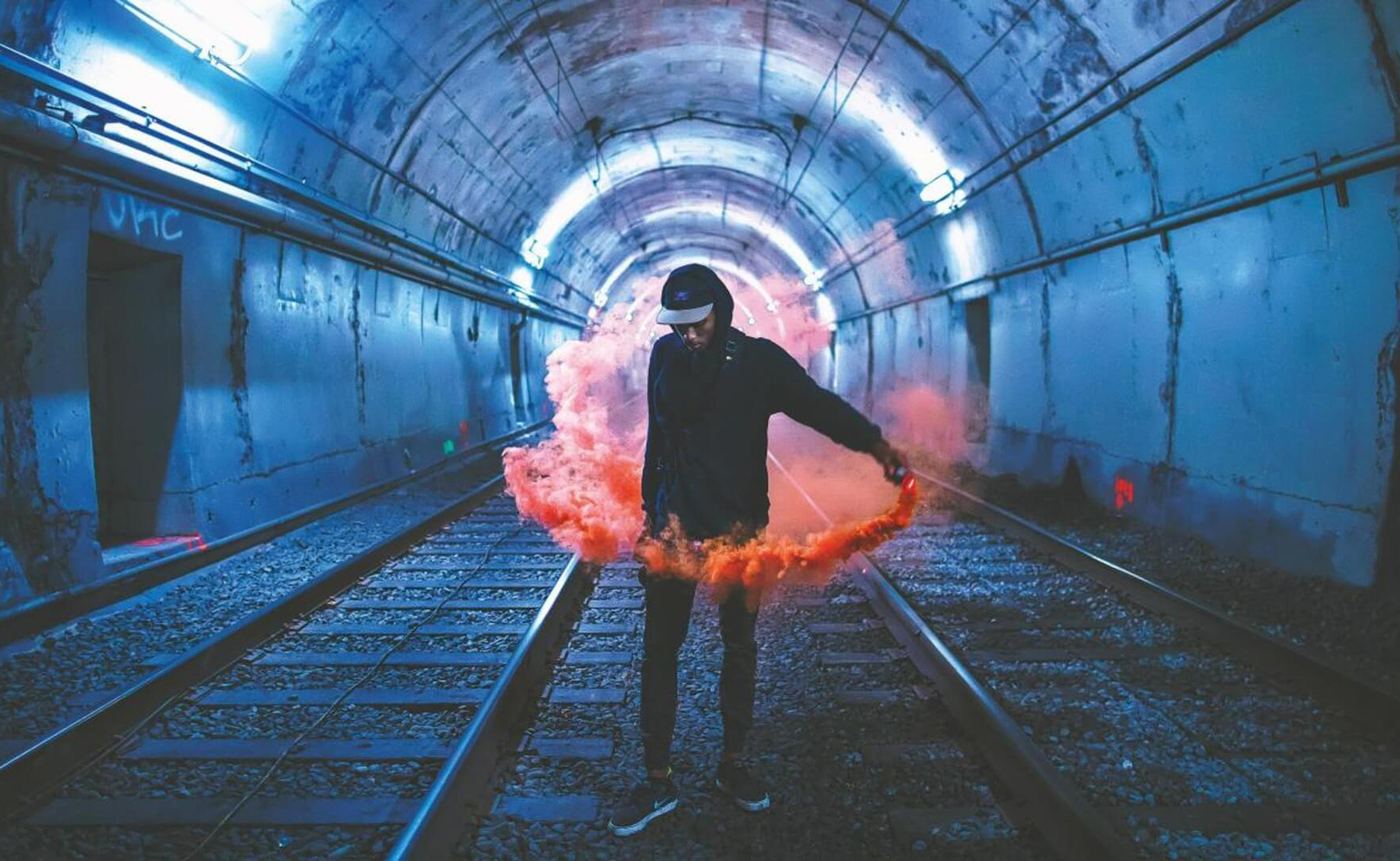 Социальные животные